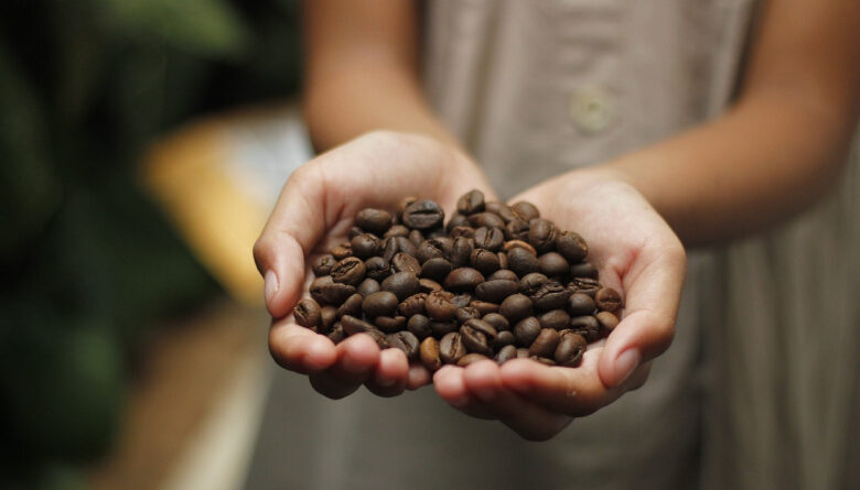 Nuevas Cafeteras SOLO Caffè: Innovación y Sabor para los Amantes del Café