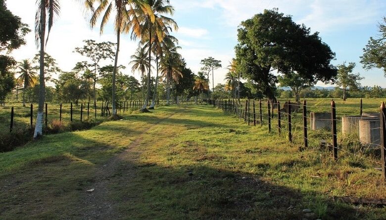 Guía definitiva para adquirir la finca ideal: consejos y recomendaciones esenciales