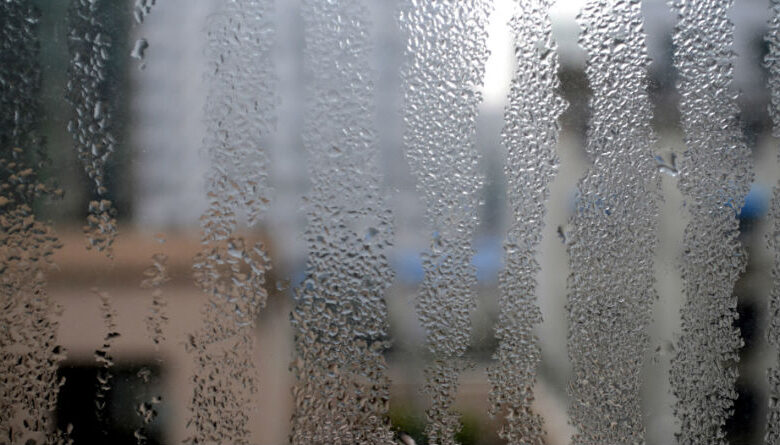 La Humedad que Enferma: Causas y Soluciones para Mejorar tu Salud y Hogar