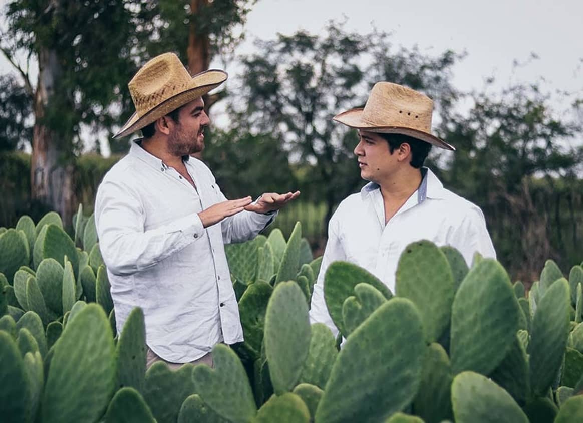 Cuero de cactus vegano de México: el nuevo favorito de lujo en Lineapelle Milano