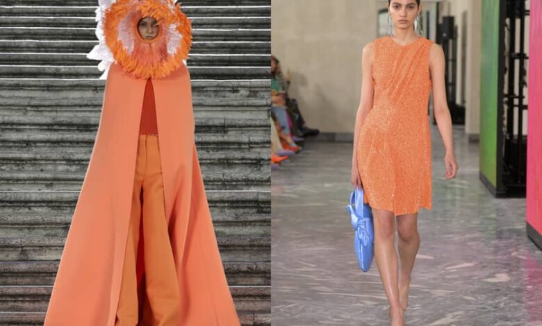 WGSN y Coloro Color del año 2024 Apricot Crush