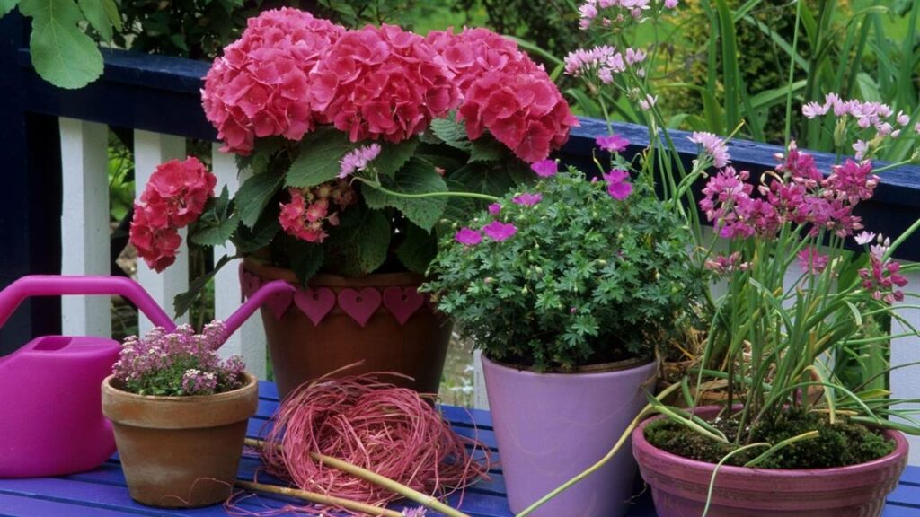 Photo of Plantas y flores ideales para crear un jardín exuberante y colorido
