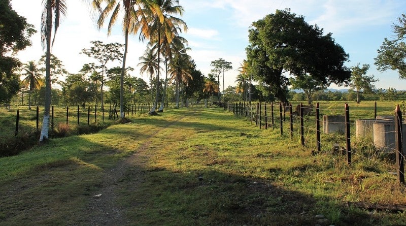 Guía definitiva para adquirir la finca ideal: consejos y recomendaciones esenciales Guía definitiva para adquirir la finca ideal: consejos y recomendaciones esenciales