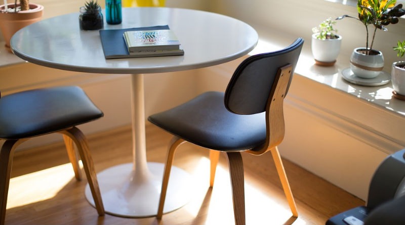 Decoración Ecológica: Cómo Embellecer tu Hogar u Oficina con Plantas Naturales